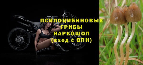 тгк Алексеевка