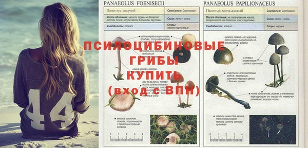 MDMA Алексин