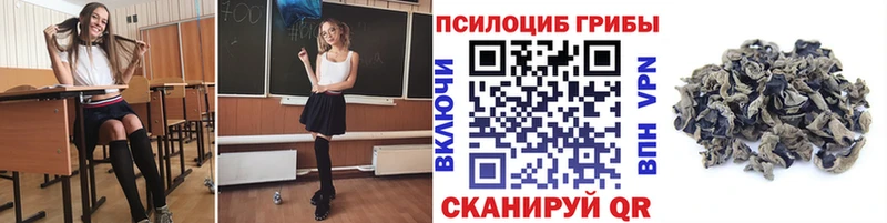мега ТОР  закладка  Батайск  Галлюциногенные грибы Magic Shrooms 