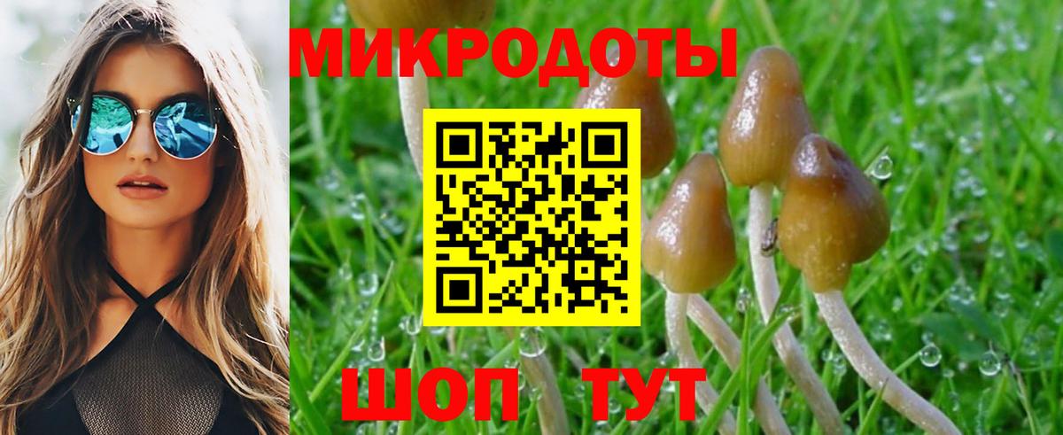 Галлюциногенные грибы мухоморы Батайск